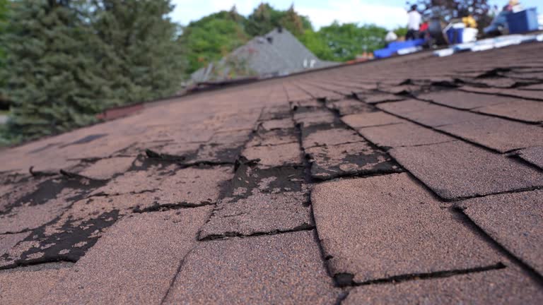 Professional Roofing Service in Emerson, GA